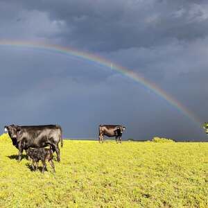 Meet your Posher, Donnie